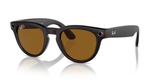 RAY-BAN | META WAYFARER RW4009 675483 - Noir rebelle