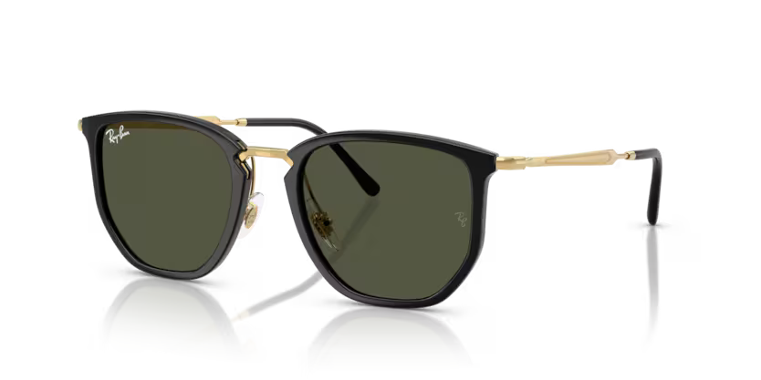 Lunette de soleil RAY-BAN RB4451 630631