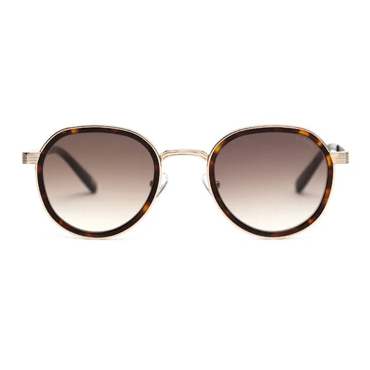 Lunette de soleil Andy Brook CODY II C108f