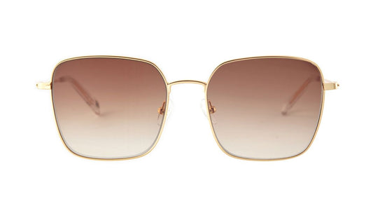 Lunettes de soleil Andy Brook WHITNEY II C40F